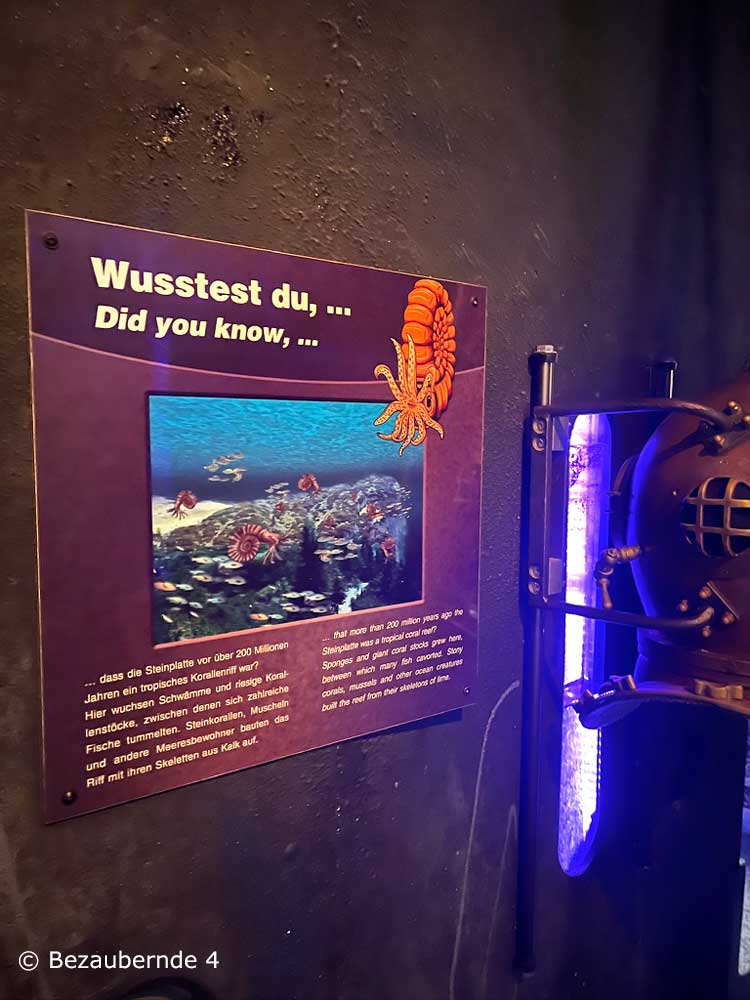 Wissenswertes im Triassic Center lernen